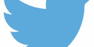 Profile 6 twitter 312464 1280 384x192 2