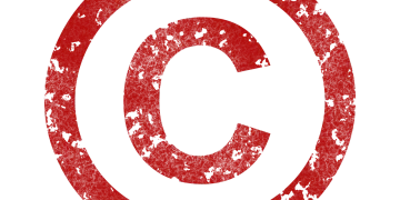 Sole proprietor / sole proprietorship