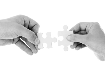 The creation of an operating/marketing company between influencers, artists and their management 15 The creation of an operating/marketing company between influencers, artists and their management